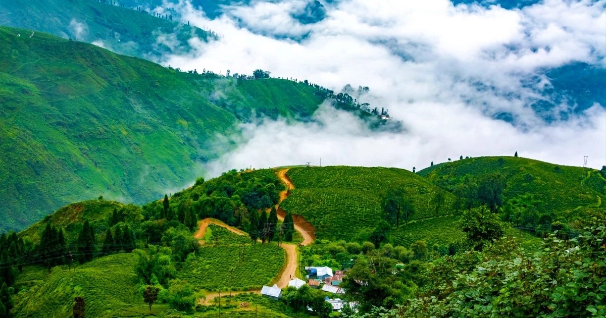 Discover Sikkim, Pelling & Darjeeling Himalayan Beauty