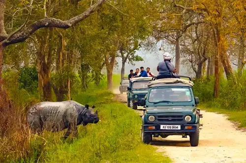 blissful arunachal kaziranga experience