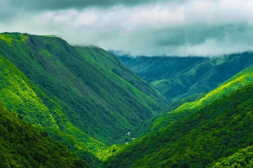 Delightful Meghalaya Escape
