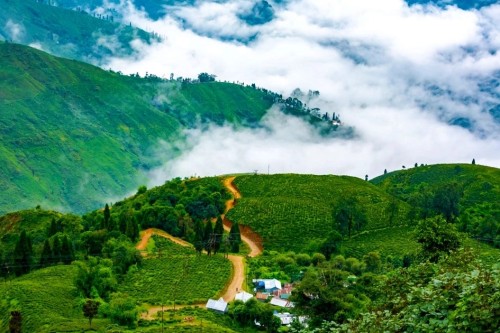 discover sikkim pelling & darjeeling