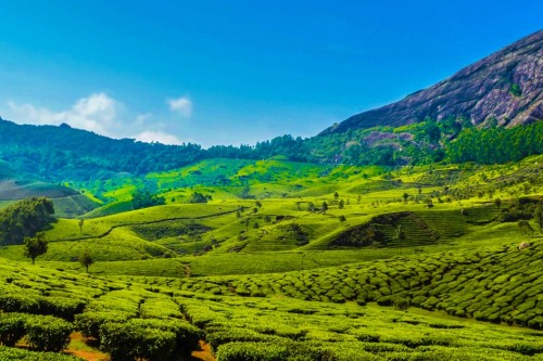 munnar romantic getaway