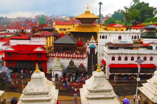 nepal nature odyssey