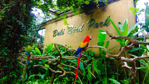 Bali Bird Park