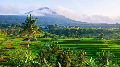 Central Bali