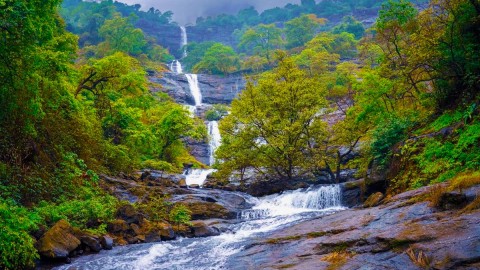 Cheeyappara Waterfall