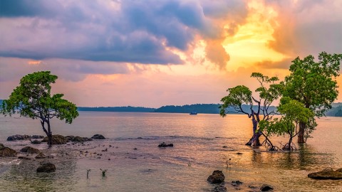 Chidiya Tapu Beach