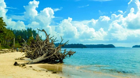 Chidiya Tapu Beach