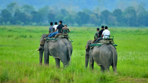Elephant Ride