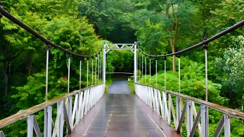 Hanging Bridge