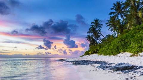 Havelock Island