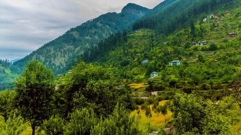 Jibhi