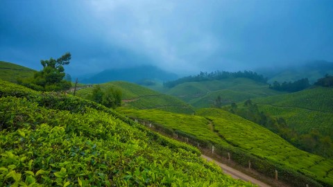 Munnar