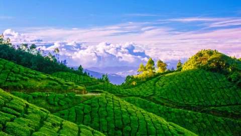 Munnar
