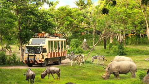Safari Park Bali