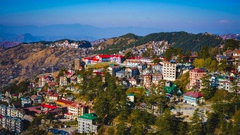 Shimla