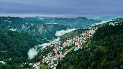 Shimla