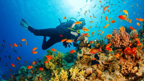Snorkeling Session at Beach