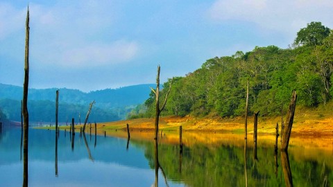 Thekkady