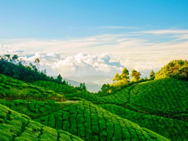 munnar