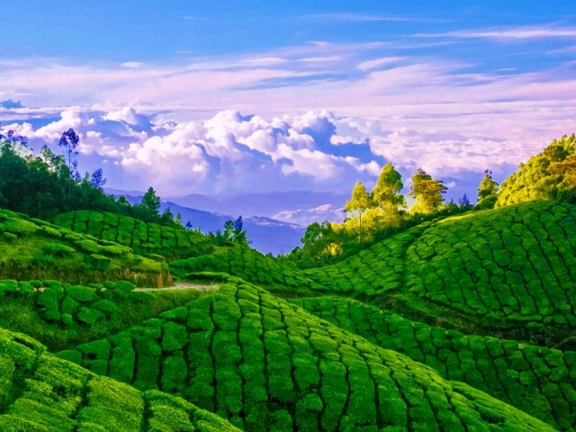 munnar
