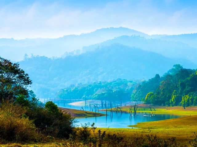 periyar