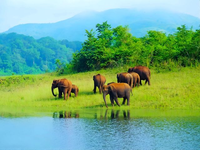thekkady